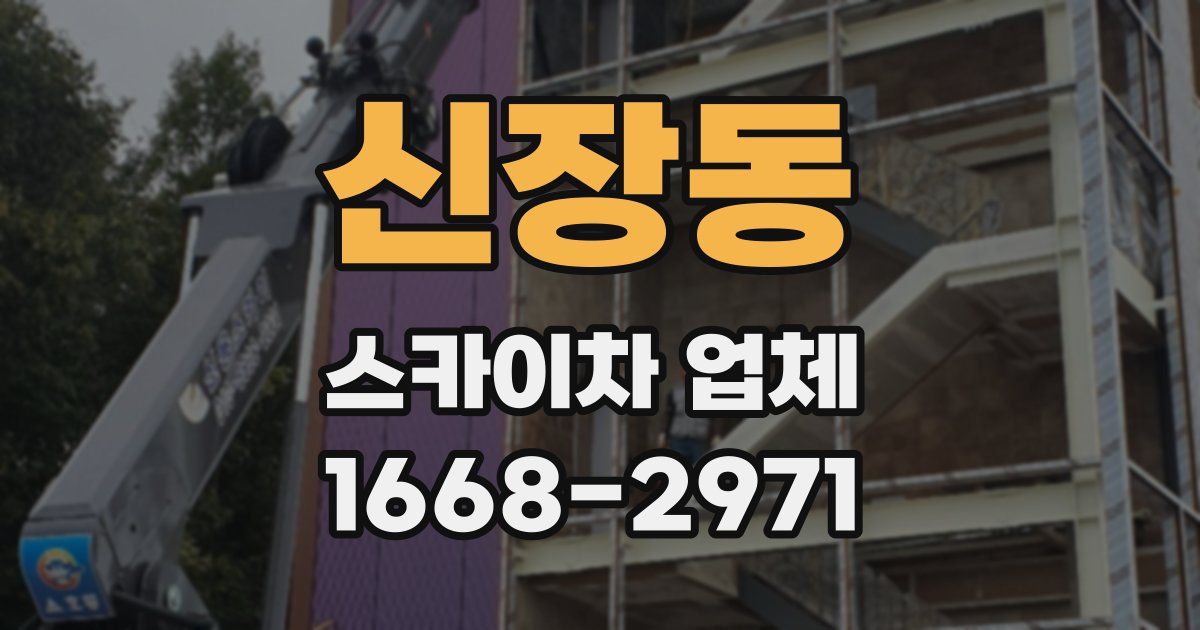 신장동 스카이차 업체