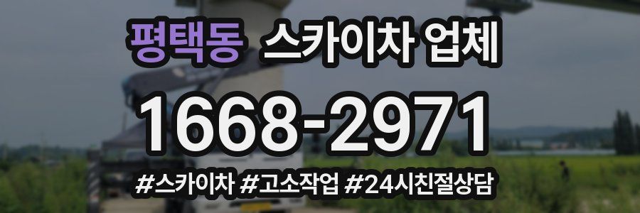 평택동 스카이차 업체