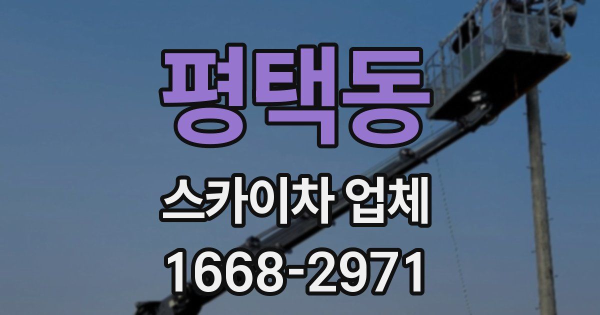 평택동 스카이차 업체