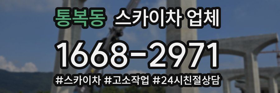 통복동 스카이차 업체