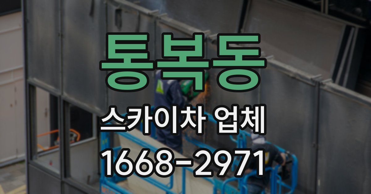 통복동 스카이차 업체