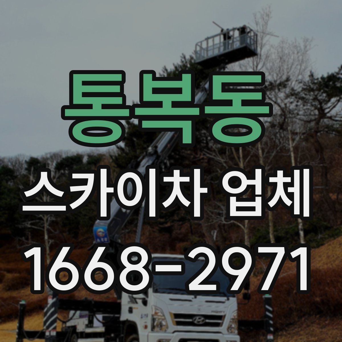 통복동 스카이차 업체