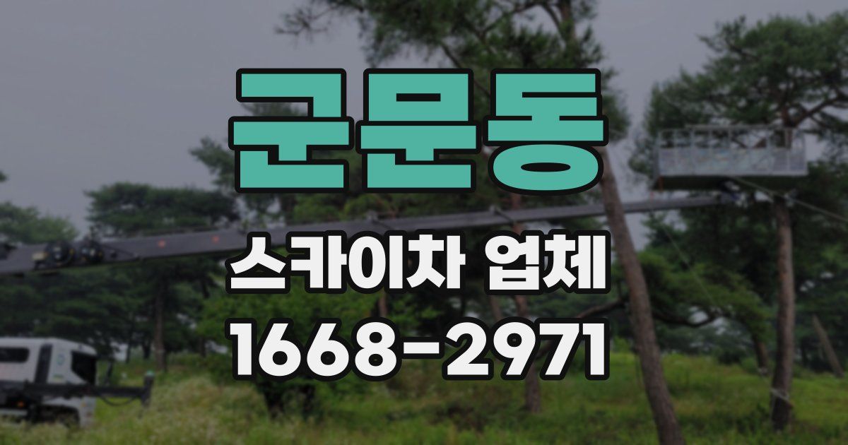 군문동 스카이차 업체