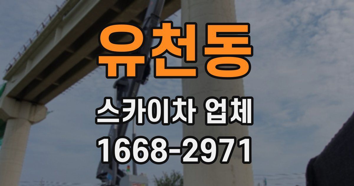 유천동 스카이차 업체