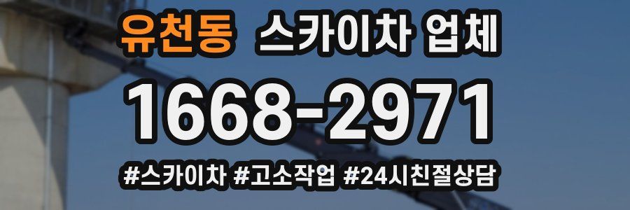 유천동 스카이차 업체