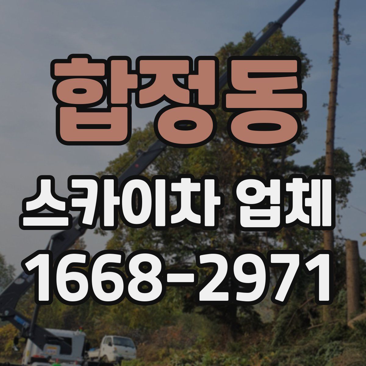 합정동 스카이차 업체