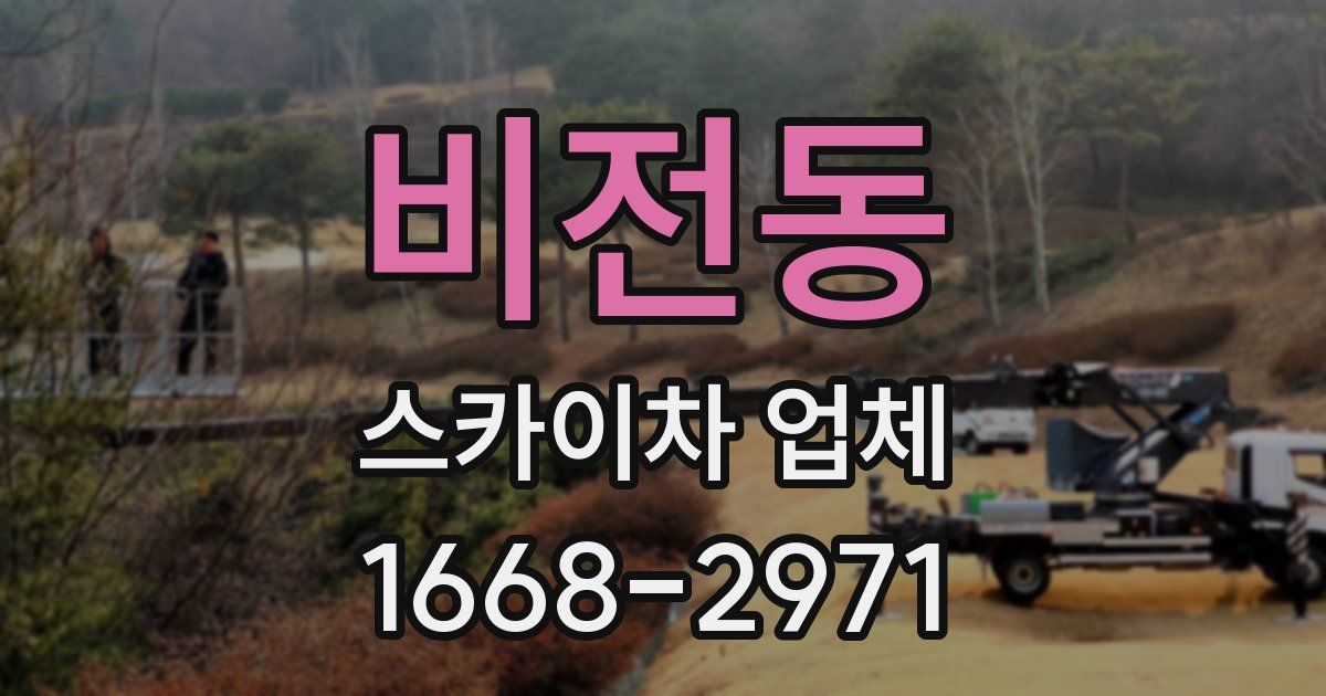 비전동 스카이차 업체