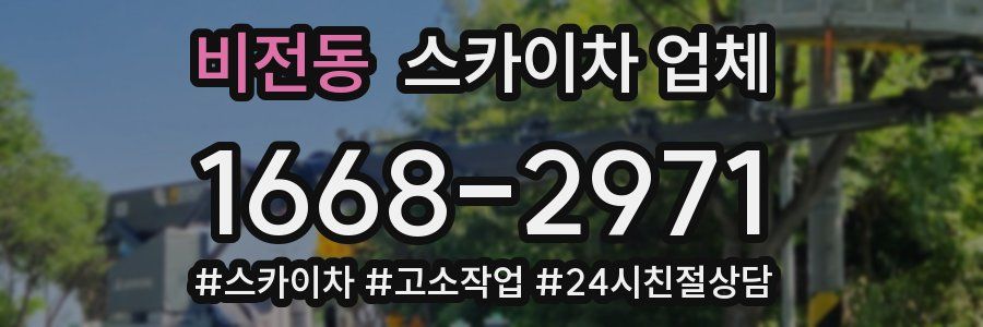 비전동 스카이차 업체