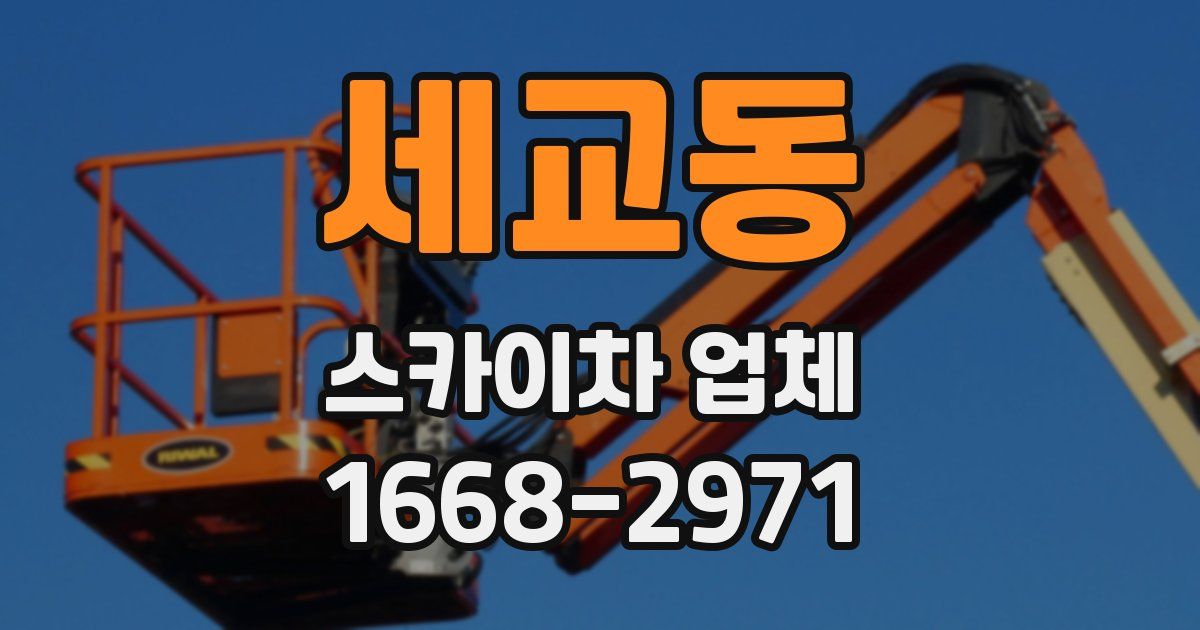 세교동 스카이차 업체