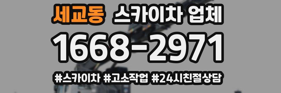 세교동 스카이차 업체