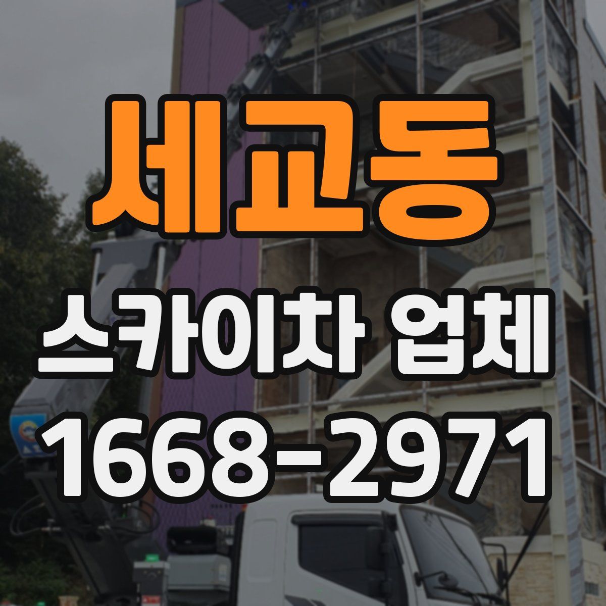 세교동 스카이차 업체
