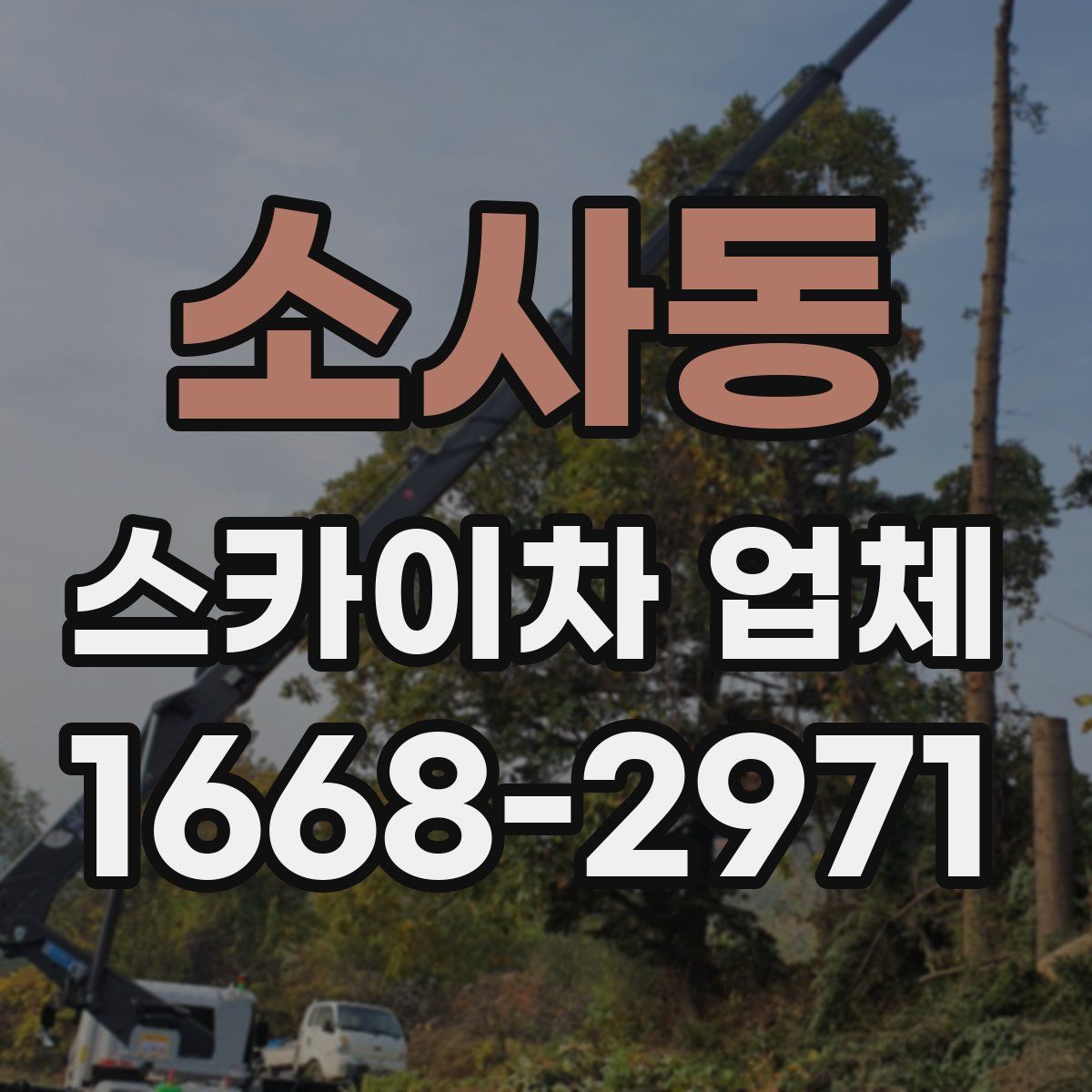 소사동 스카이차 업체
