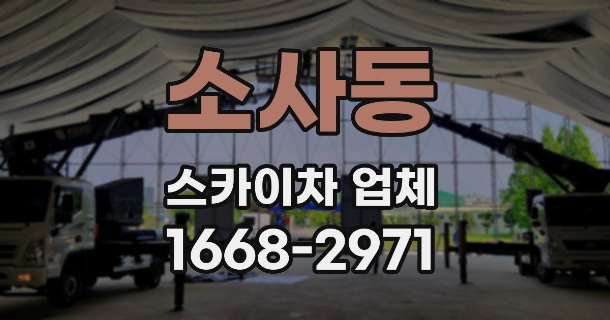 소사동 스카이차 업체