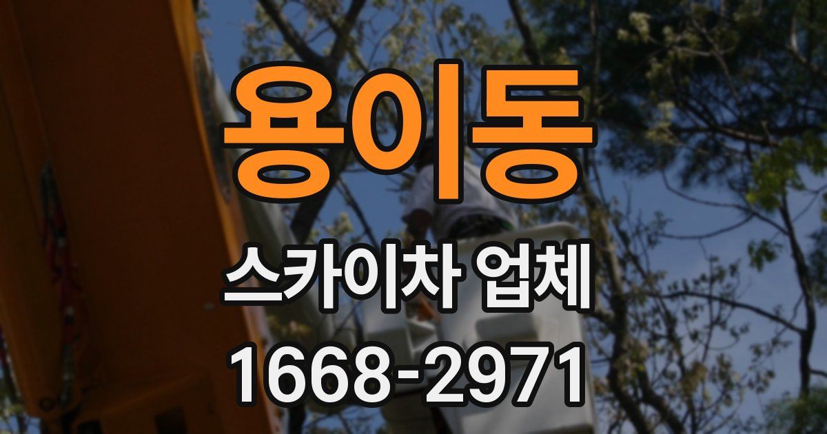 용이동 스카이차 업체
