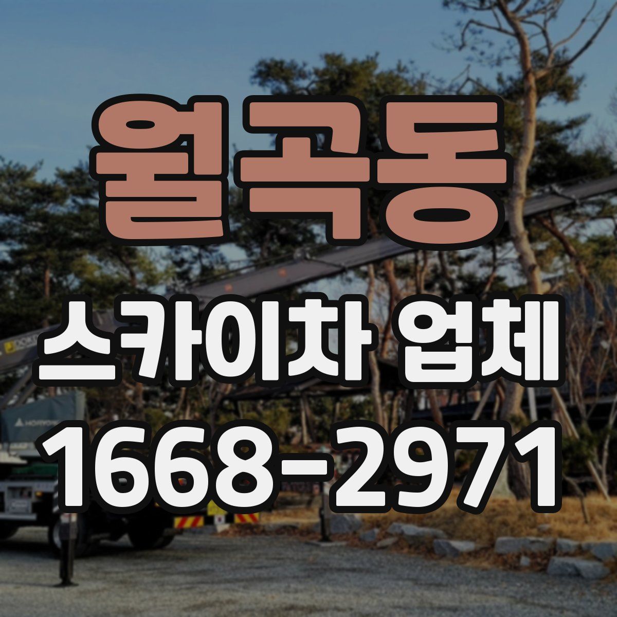 월곡동 스카이차 업체