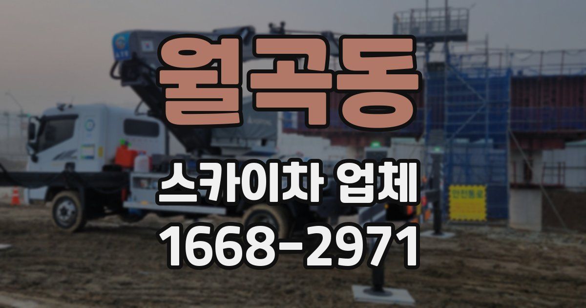 월곡동 스카이차 업체