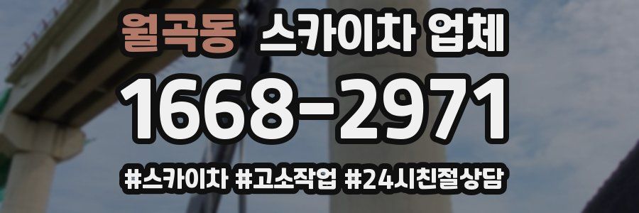 월곡동 스카이차 업체