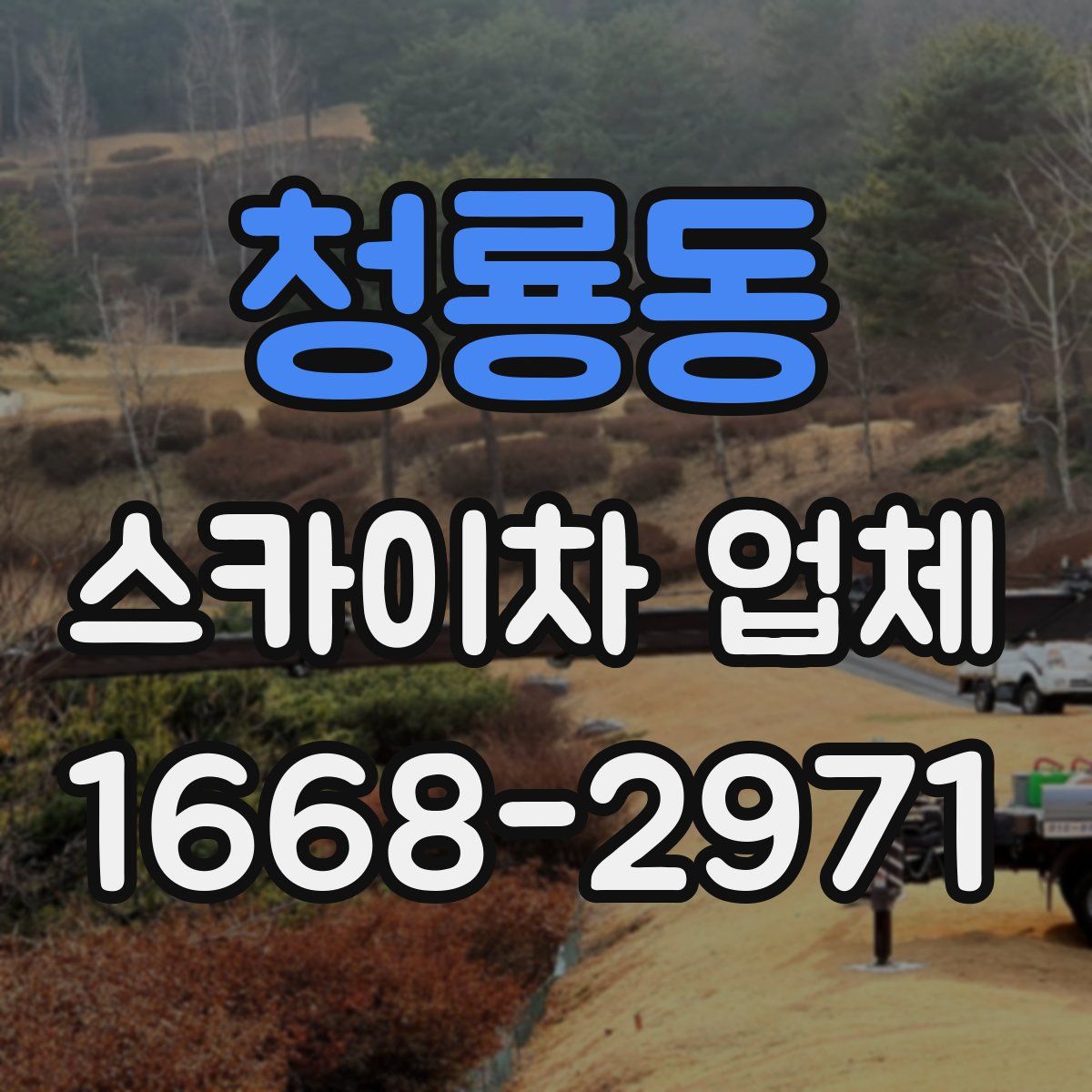 청룡동 스카이차 업체