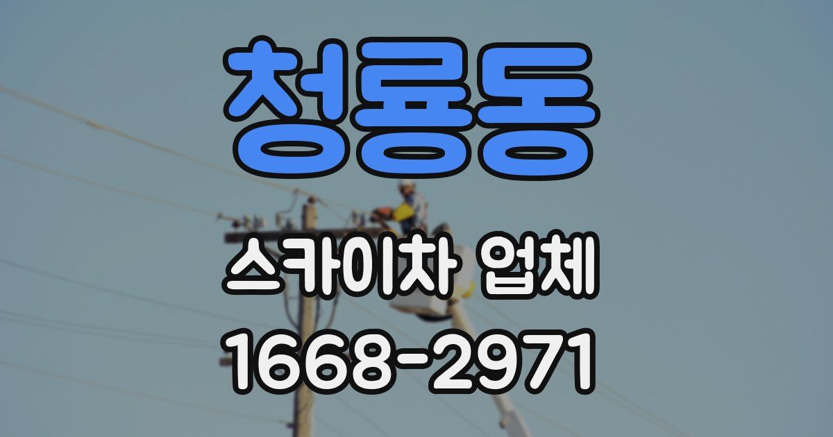 청룡동 스카이차 업체