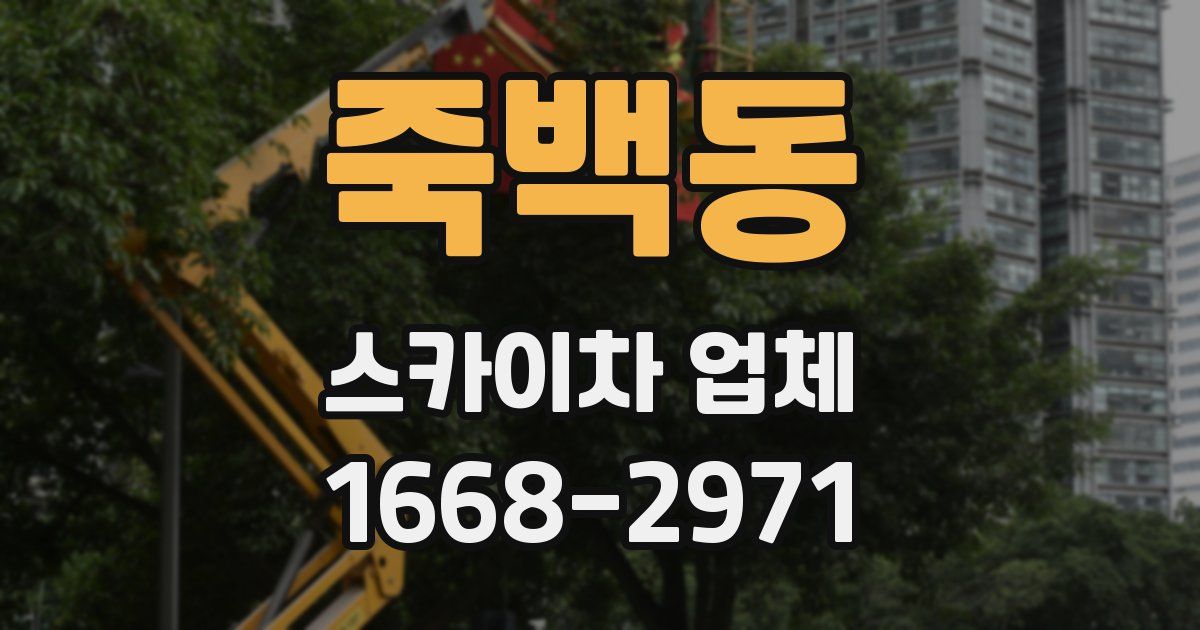 죽백동 스카이차 업체