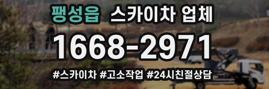 팽성읍 스카이차 업체
