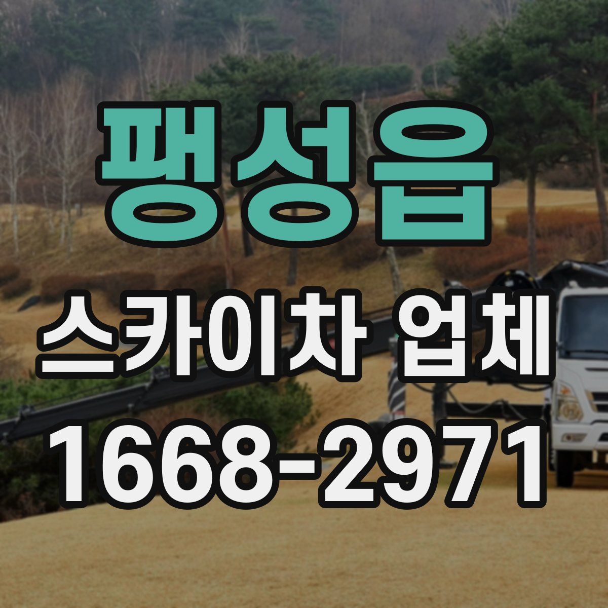 팽성읍 스카이차 업체