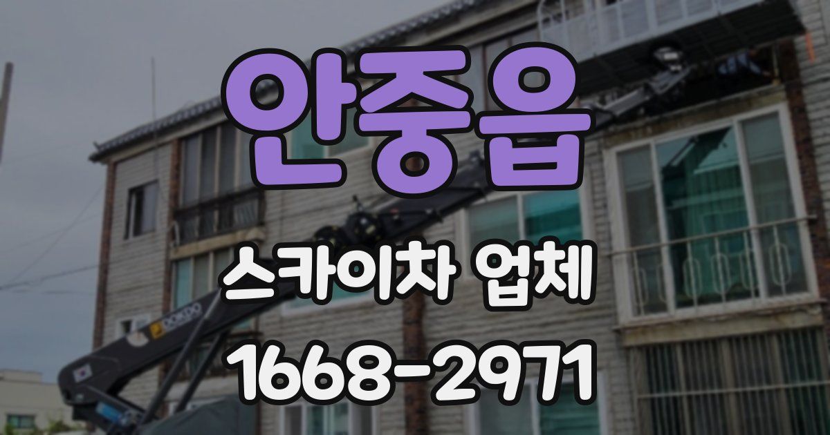 안중읍 스카이차 업체