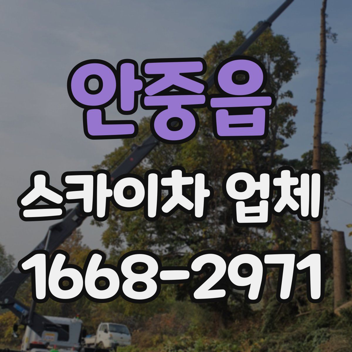 안중읍 스카이차 업체