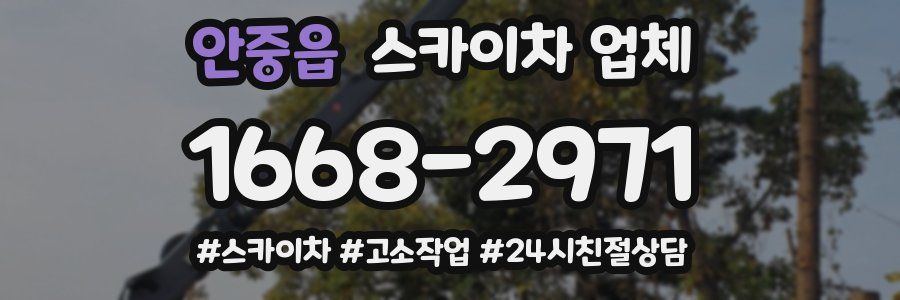 안중읍 스카이차 업체
