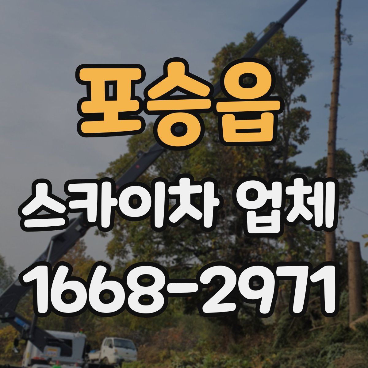 포승읍 스카이차 업체