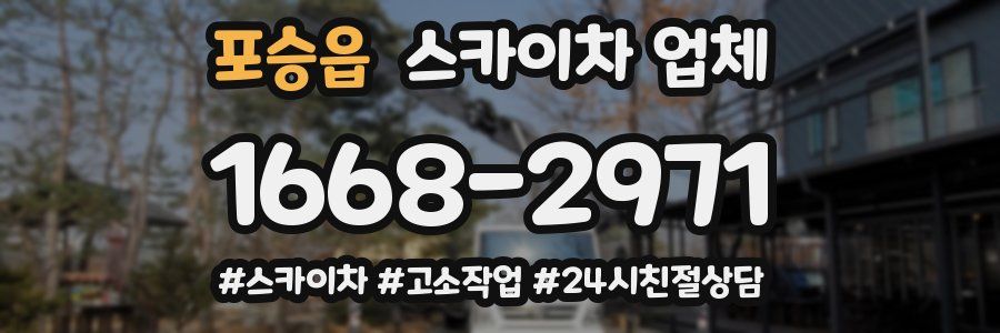 포승읍 스카이차 업체