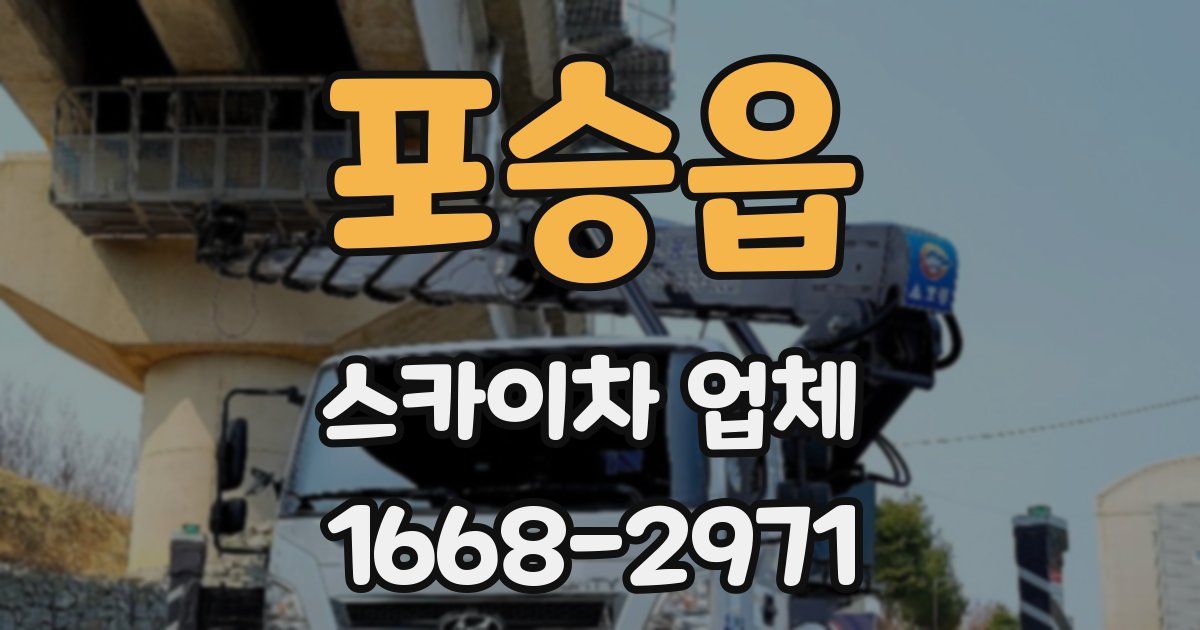 포승읍 스카이차 업체