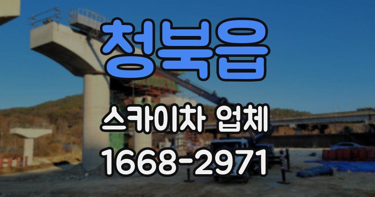 청북읍 스카이차 업체