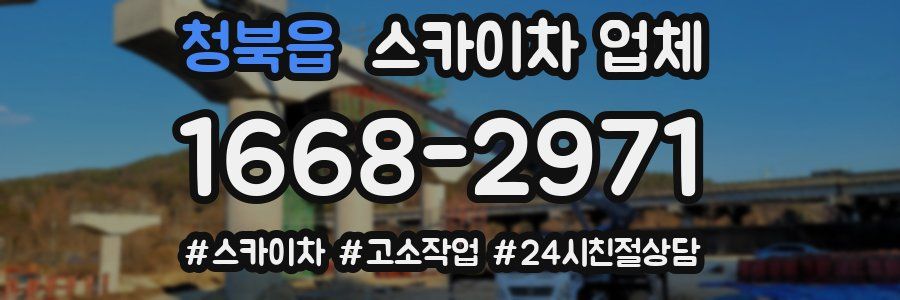 청북읍 스카이차 업체