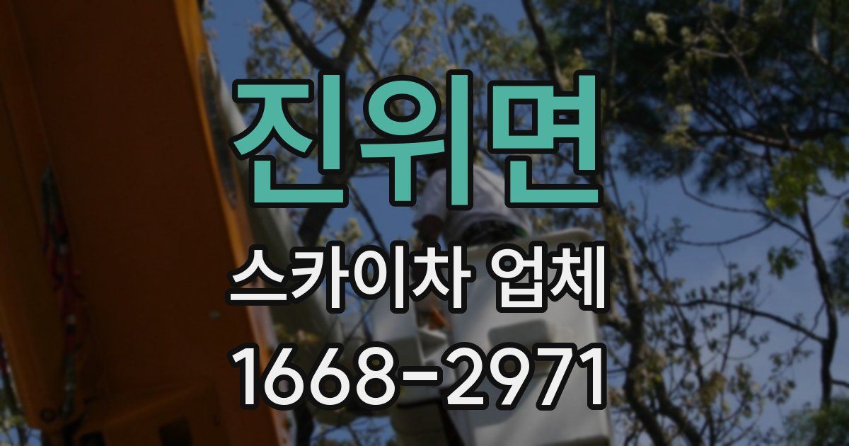 진위면 스카이차 업체