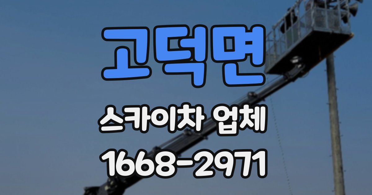 고덕면 스카이차 업체