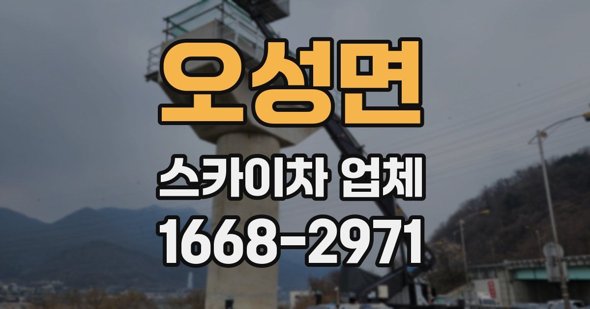 오성면 스카이차 업체