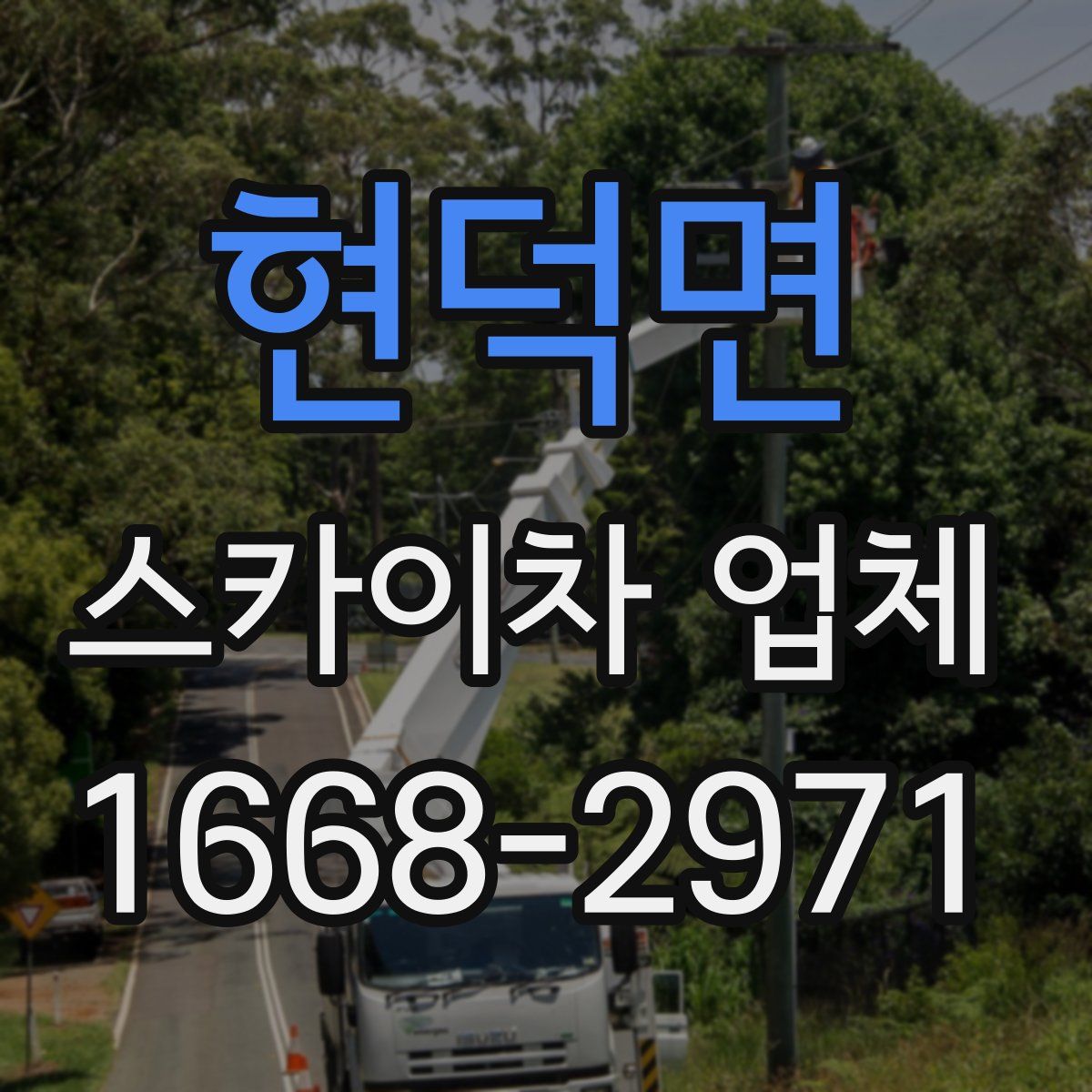 현덕면 스카이차 업체