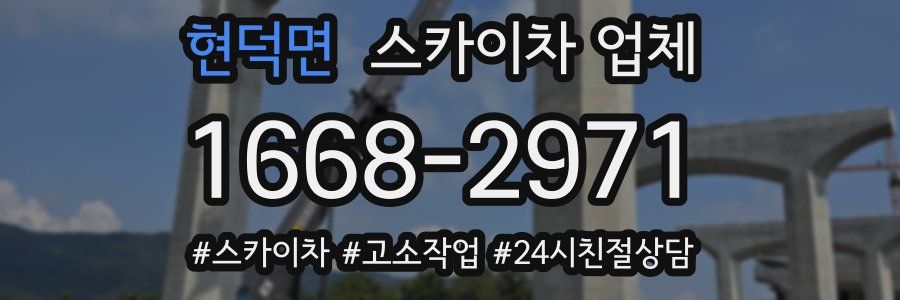 현덕면 스카이차 업체