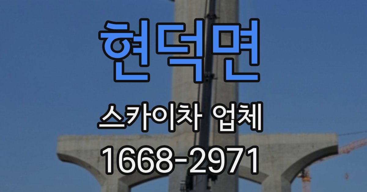 현덕면 스카이차 업체
