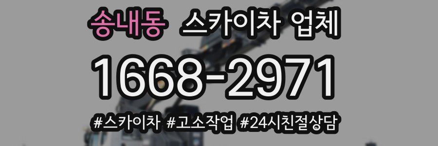 송내동 스카이차 업체