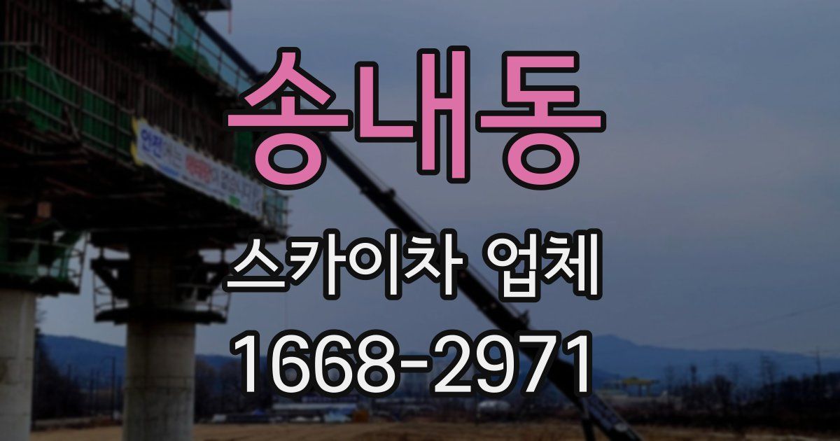 송내동 스카이차 업체