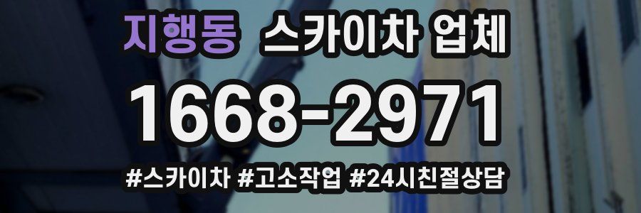 지행동 스카이차 업체