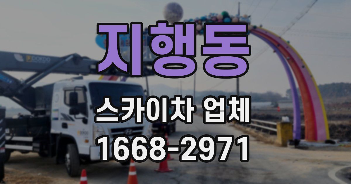 지행동 스카이차 업체
