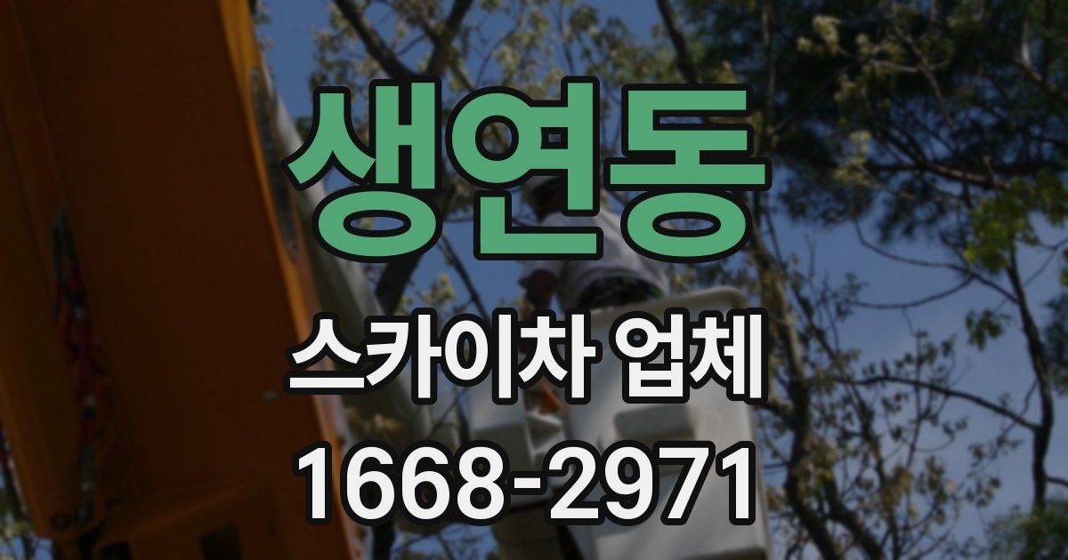 생연동 스카이차 업체