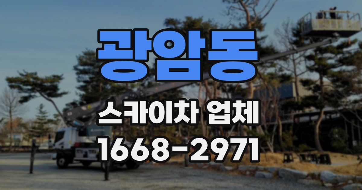 광암동 스카이차 업체