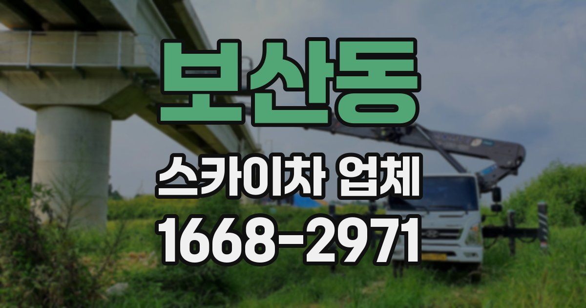 보산동 스카이차 업체