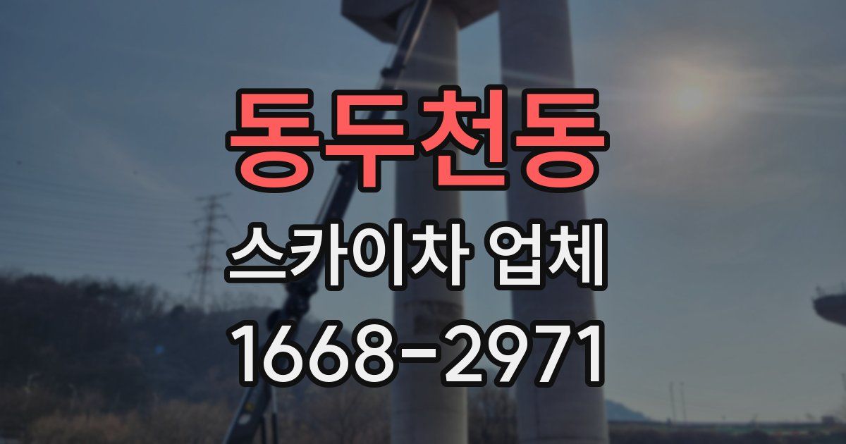 동두천동 스카이차 업체