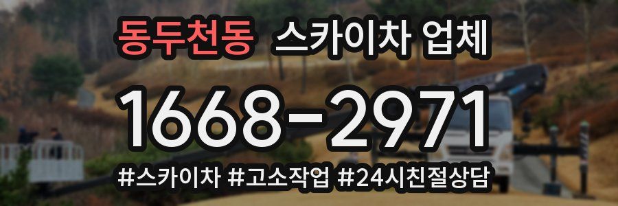 동두천동 스카이차 업체