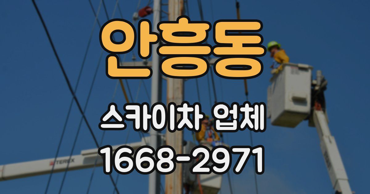 안흥동 스카이차 업체